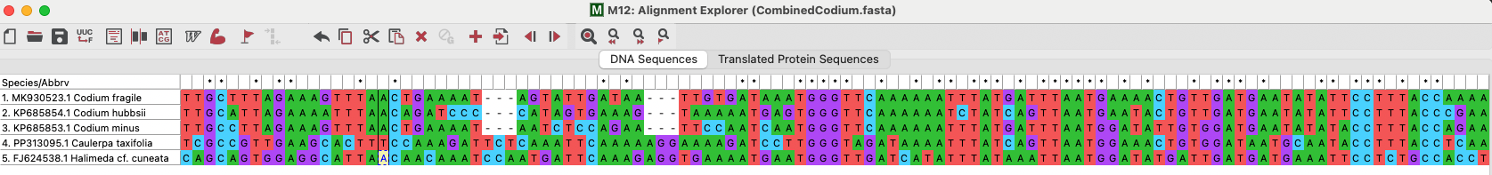 Figure 2: Screenshot of a section of the sequence alignment.